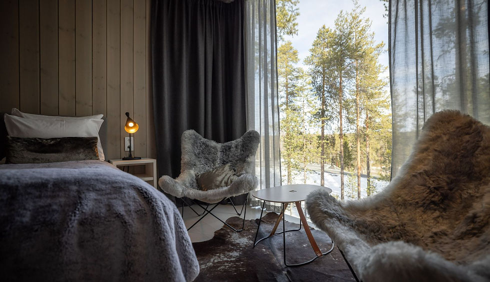 arctic tree house treehouse suite (4).jpg