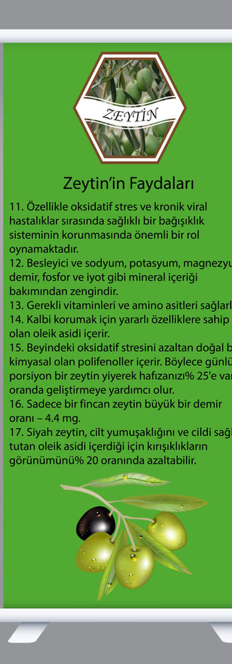 Başlıksız-zeytin-1.jpg