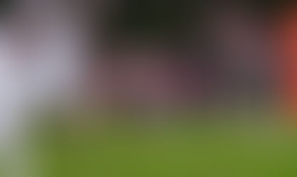 Raiders Roll Over Eaton Rapids to 43-7 to Earn Share of League Title and Qualify for Playoffs