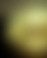 Obituary for Frederick J. Schafer