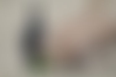 Community Life:  The Lost Dogs of Portland