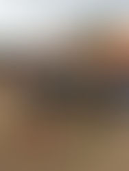 St Patrick Cross Country Apples to Apples Invitational Recap