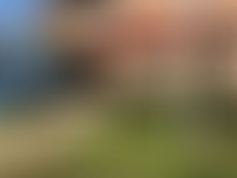 Portland Police Chief: “Most Residents Are Adhering to Governor’s ‘Stay Home, Stay Safe’ Executive O