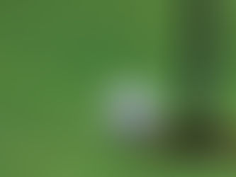 Portland High School Boys Golf Season Preview 2025