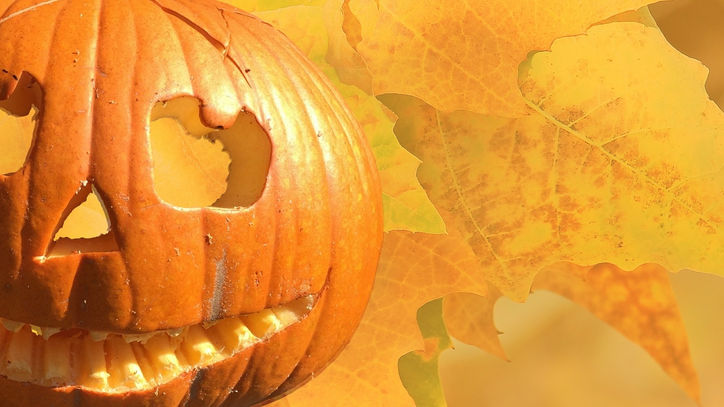 Portland Family Chiropractic hosting 5th Annual Pumpkin Contest