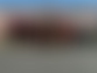 Portland Tennis defeats Holt to end regular season, tops Lakewood in Regionals