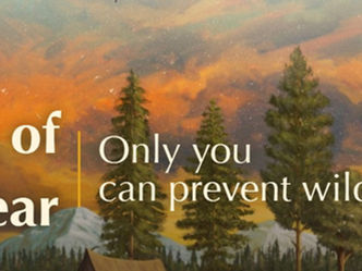 Wild Fire Prevention Tips