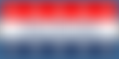 Portland Twp. Voting Information