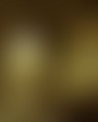 Obituary for William David Pung