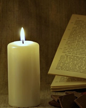 Obituary for William David Pung