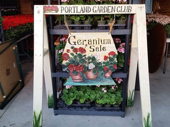 Portland Garden Club Geranium Sale