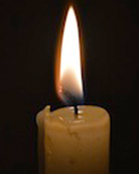Obituary for Jacoba Bos
