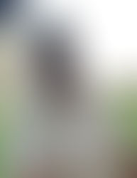 Obituary for Daniel Charles Wolf