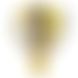 Sesquicentennial Contest Winners Announced