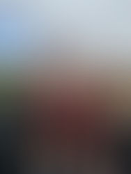 Raider Cross Country shows strong results at Shepherd Bluejay Invite