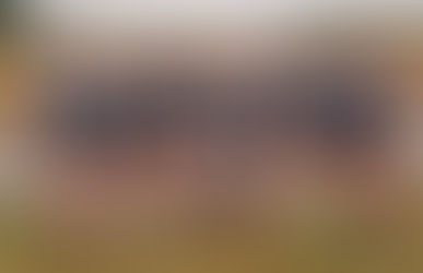 Shamrock Cross Country finishes 3rd in St. Johns