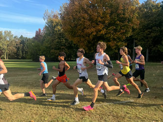 Raider Cross Country results from Greater Lansing Cross Country Championship