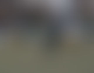 Shamrocks Over Kinde North Huron, Advance to Finals