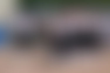 Raider Softball falls in Regional Finals