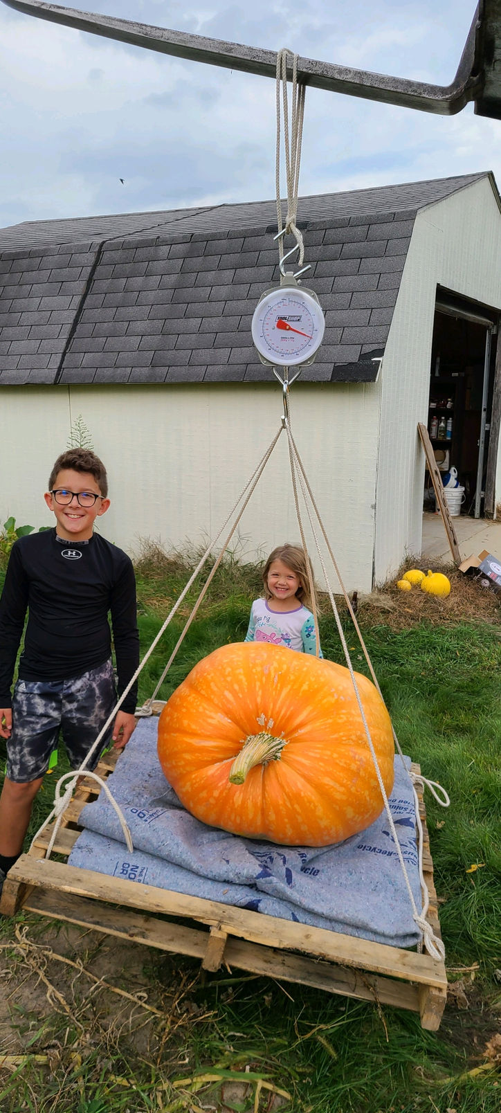 Local Family grows 175 Pound Pumpkin