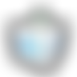 Portland Area Residents, Sharp, Stahl, and Shattuck, Vie for two Ionia County Commission Seats in Tu