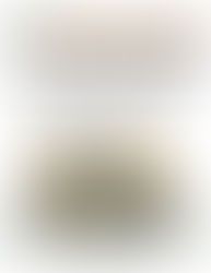 News from St. Patrick High School