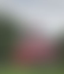 Historical Society to present history of the Red Mill on April 26th