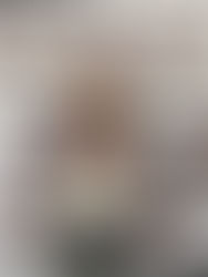 PPS recognizes November Raiders of the Month