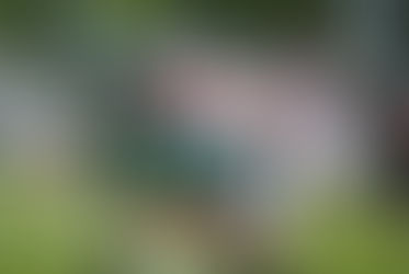 Shamrock football dominates Tekonsha