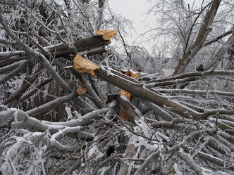 Portland generally spared from Friday ice storm, but Monday may be another story