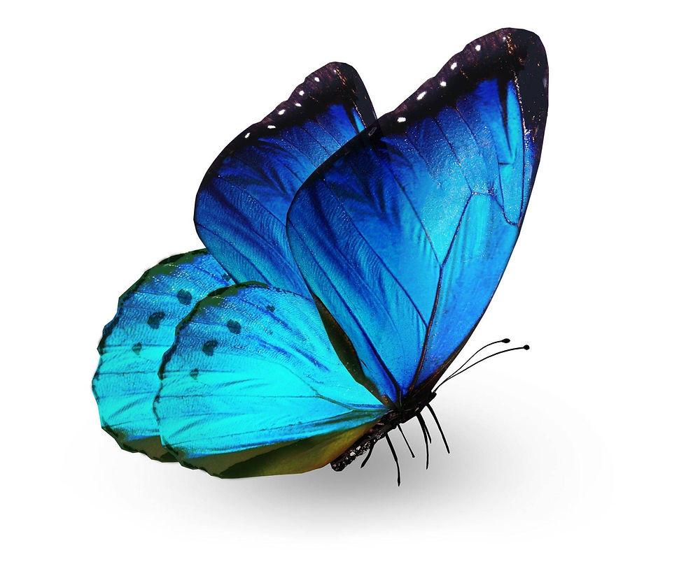 ree