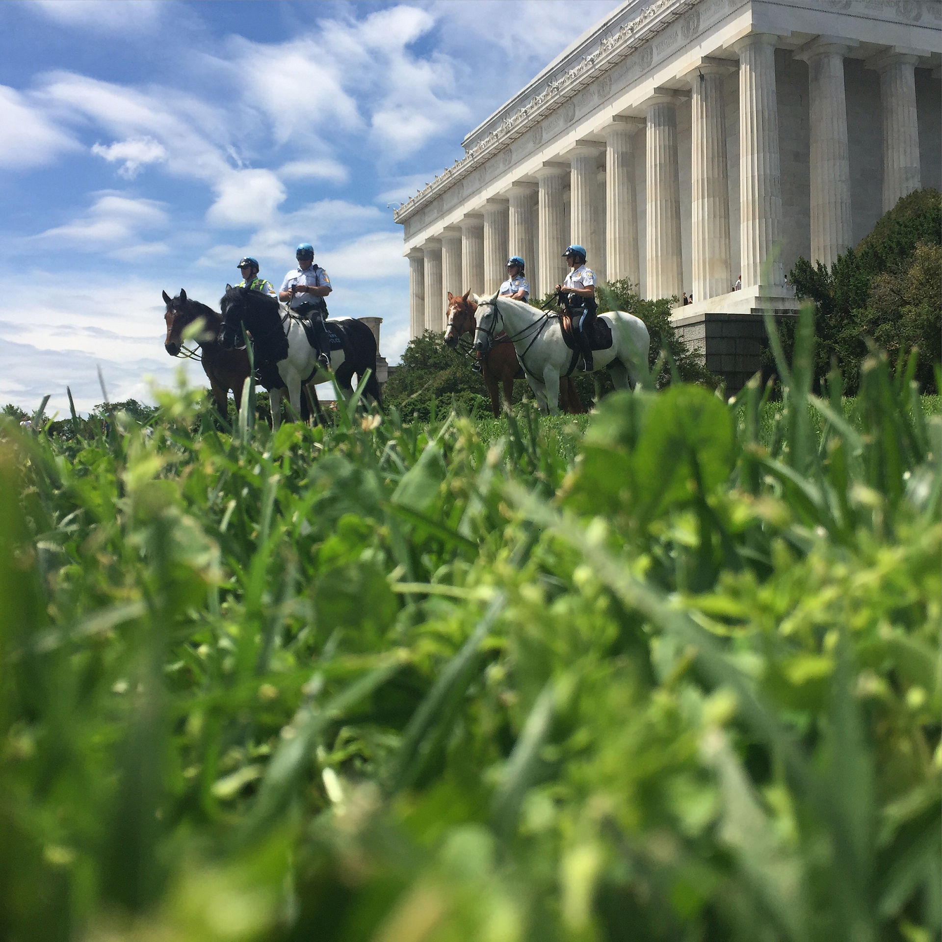 Washington DC
