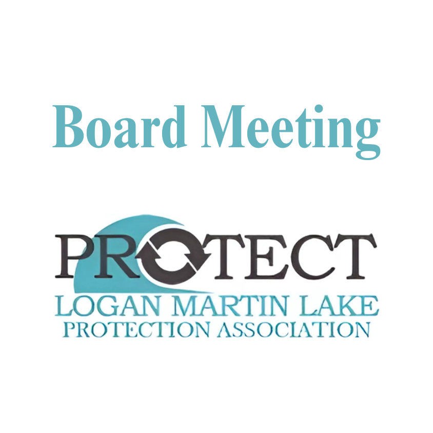 Board of Directors Meeting