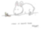 rabbit