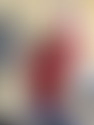 ალტერბრიჯის უნივერსიტეტის წარმომადგენლები ქართულ–ამერიკულ სკოლაში