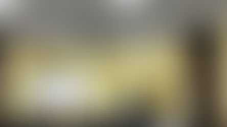 ახალგაზრდა ევროპელი ელჩების ვიზიტი