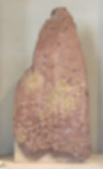 ree