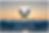 5114D68C-A44C-46CF-ACE3-608C07FBD6DC.png