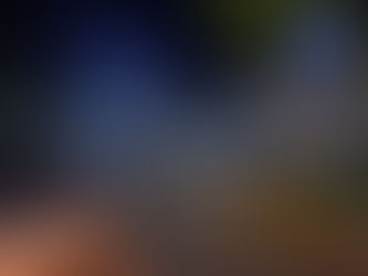 DIRECTOR DE SEGURIDAD PÚBLICA DE JANOS, REPORTE OFICIAL