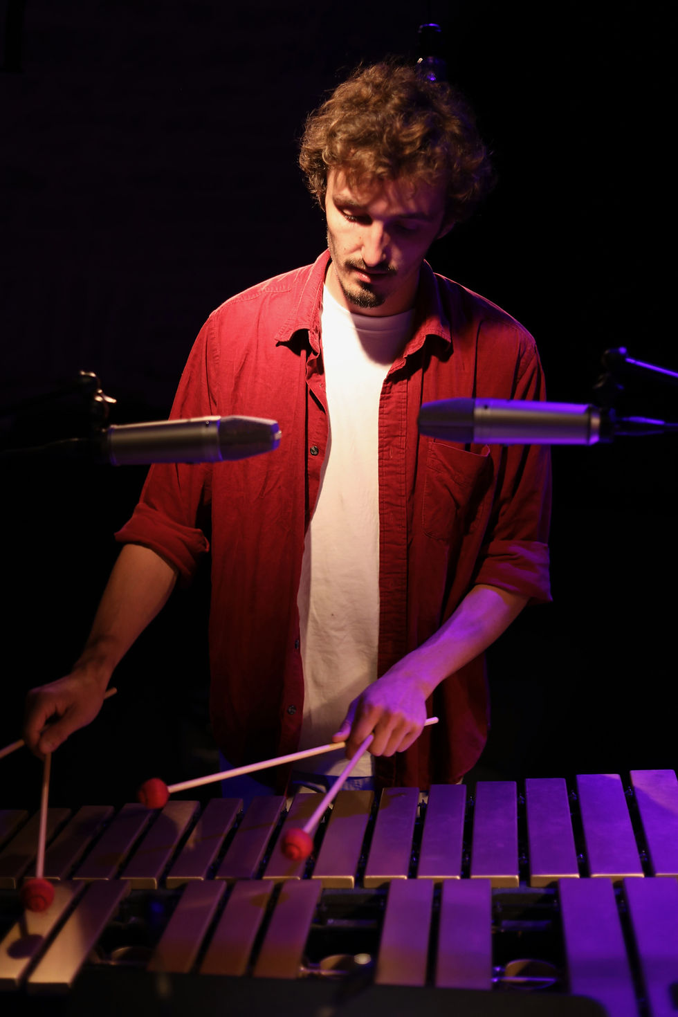 Luc Guichard