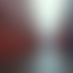 Your Guide to Buying Shipping Containers