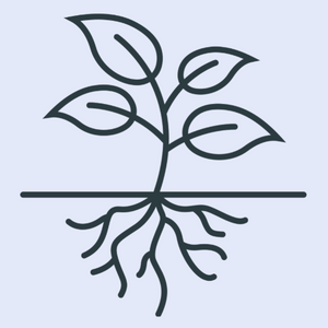 Icon of plant growth and roots