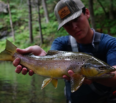 Fly Fishing Guide for Fishing Trips in Boone NC