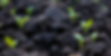BG Image77.png