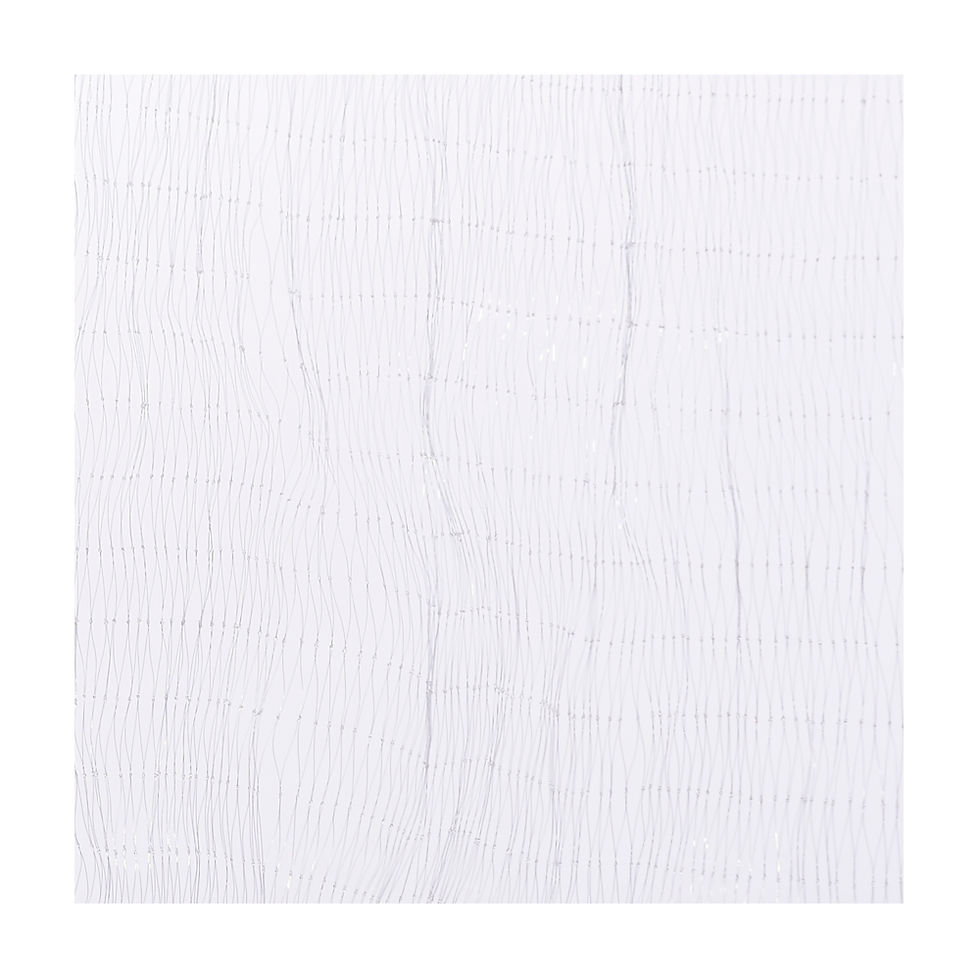 Thumbnail: Nylon Monofilament Net