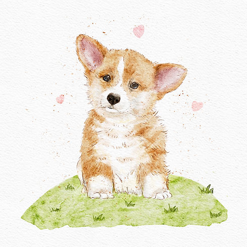 Corgi.JPG