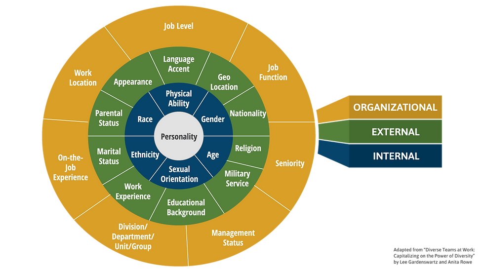 Multidimensional Employee Unraveling Diversity: A Closer Look at the Varied Layers in The Workplace