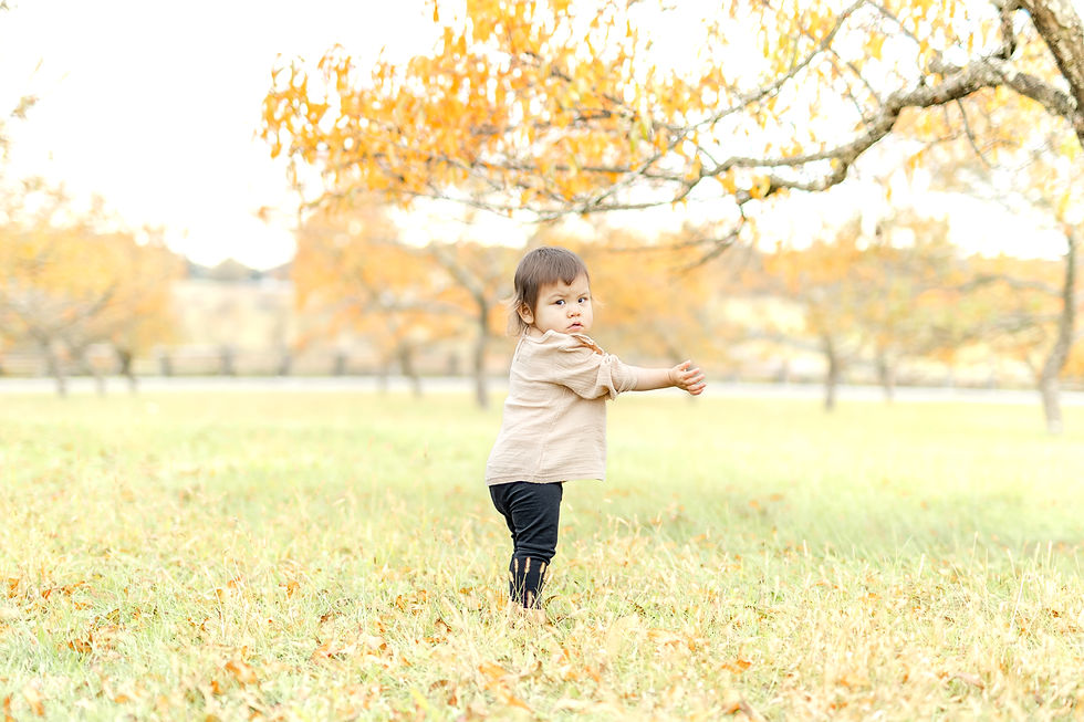 Toddler in a beige top and black pants stands in a sunny autumn field, surrounded by trees with orange leaves, looking back calmly.