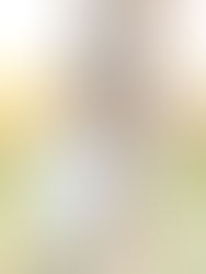 Photographer in Gettysburg, PA - A family session in the Battlefields