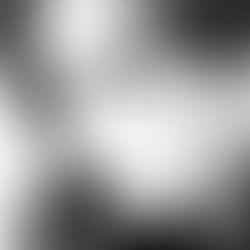 Intimate Fantasies Unleashed: Suction Cup Dildo and Phone Sex in a Seductive Encounter